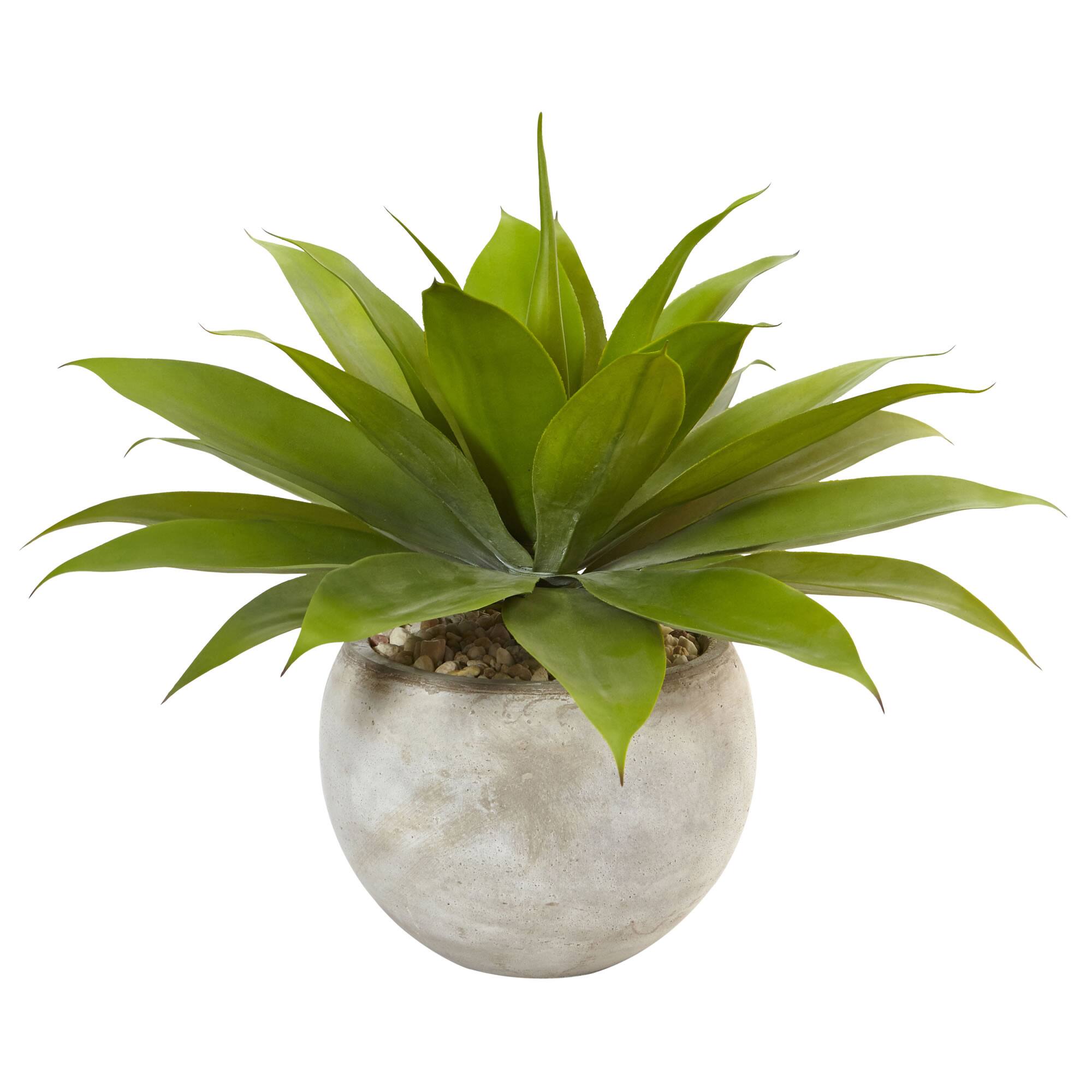 24" Agave Plant in Sand Planter